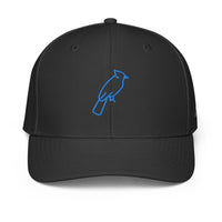 ADIDAS PERFORMANCE CAPS
