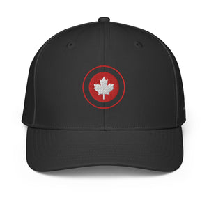 ADIDAS PERFORMANCE CAPS
