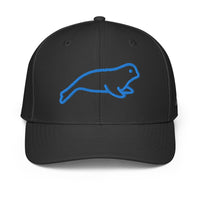 ADIDAS PERFORMANCE CAPS