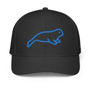 ADIDAS PERFORMANCE CAPS
