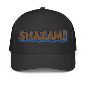 ADIDAS PERFORMANCE CAPS