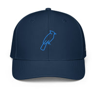 ADIDAS PERFORMANCE CAPS