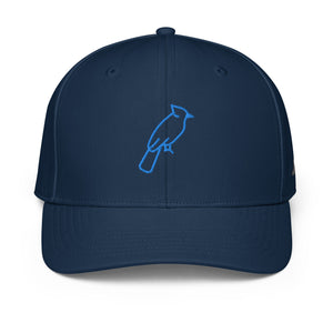 ADIDAS PERFORMANCE CAPS