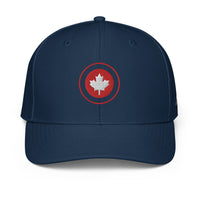 ADIDAS PERFORMANCE CAPS