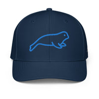 ADIDAS PERFORMANCE CAPS