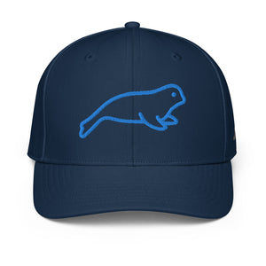 ADIDAS PERFORMANCE CAPS