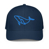 ADIDAS PERFORMANCE CAPS