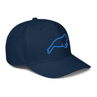 ADIDAS PERFORMANCE CAPS