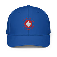 ADIDAS PERFORMANCE CAPS