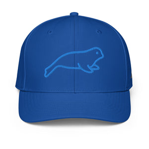 ADIDAS PERFORMANCE CAPS