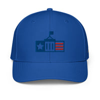 ADIDAS PERFORMANCE CAPS