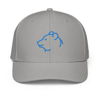ADIDAS PERFORMANCE CAPS