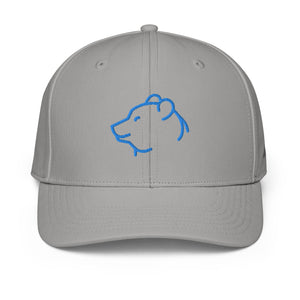 ADIDAS PERFORMANCE CAPS