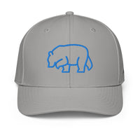ADIDAS PERFORMANCE CAPS