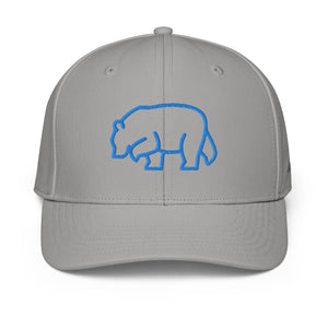 ADIDAS PERFORMANCE CAPS