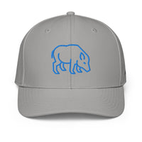 ADIDAS PERFORMANCE CAPS