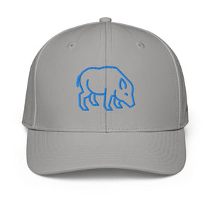 ADIDAS PERFORMANCE CAPS