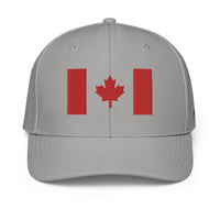 ADIDAS PERFORMANCE CAPS