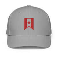 ADIDAS PERFORMANCE CAPS