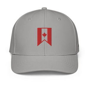 ADIDAS PERFORMANCE CAPS