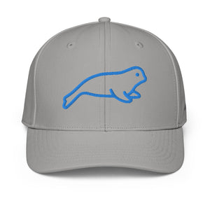 ADIDAS PERFORMANCE CAPS