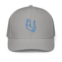 ADIDAS PERFORMANCE CAPS