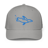 ADIDAS PERFORMANCE CAPS