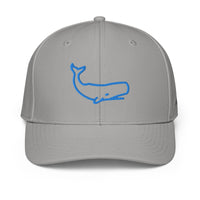 ADIDAS PERFORMANCE CAPS