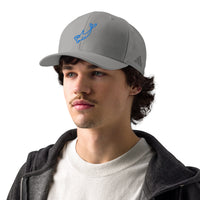 ADIDAS PERFORMANCE CAPS