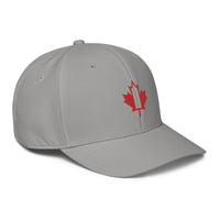 ADIDAS PERFORMANCE CAPS