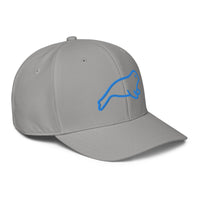 ADIDAS PERFORMANCE CAPS