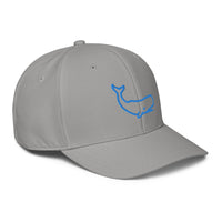 ADIDAS PERFORMANCE CAPS