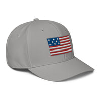 ADIDAS PERFORMANCE CAPS