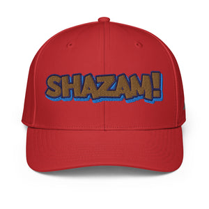 ADIDAS PERFORMANCE CAPS