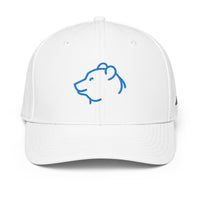 ADIDAS PERFORMANCE CAPS