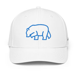 ADIDAS PERFORMANCE CAPS