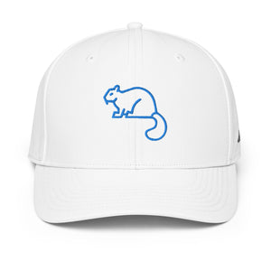 ADIDAS PERFORMANCE CAPS