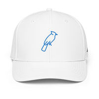 ADIDAS PERFORMANCE CAPS