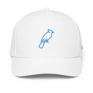 ADIDAS PERFORMANCE CAPS