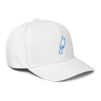ADIDAS PERFORMANCE CAPS