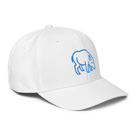 ADIDAS PERFORMANCE CAPS