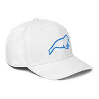 ADIDAS PERFORMANCE CAPS
