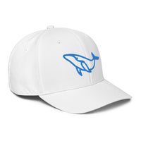 ADIDAS PERFORMANCE CAPS