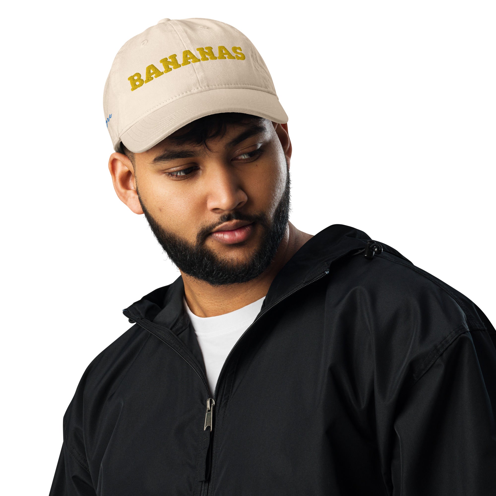 Champion dad hat