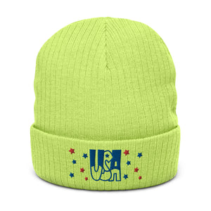 Ribbed knit beanie