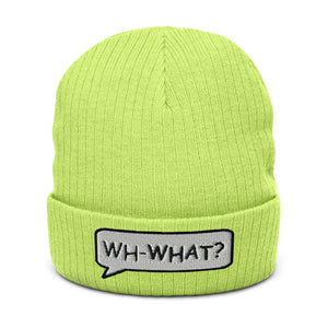 Ribbed knit beanie