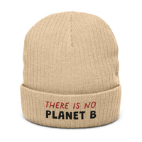 Ribbed knit beanie