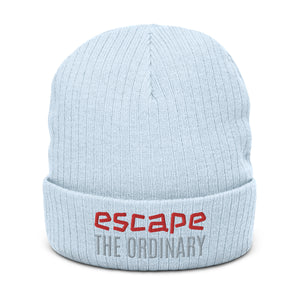 Ribbed knit beanie