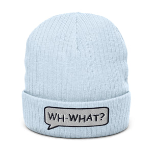 Ribbed knit beanie