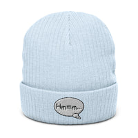 Ribbed knit beanie